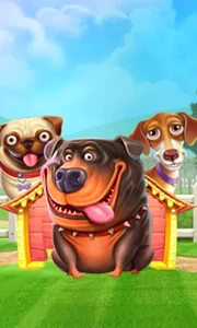 The Dog House