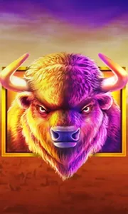 Buffalo King